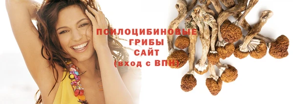 spice Арсеньев