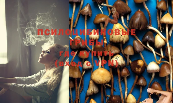spice Арсеньев