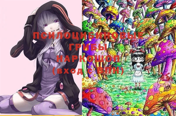 стаф Армянск