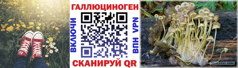 Купить закладки  Аша  Галлюциногенные грибы MAGIC MUSHROOMS 