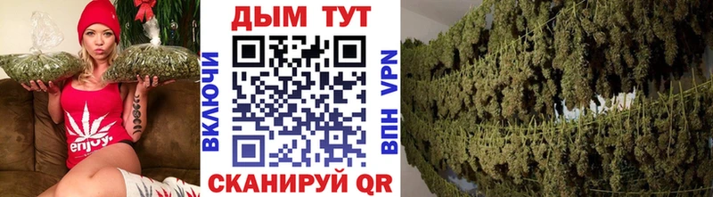 Купить закладки  Аша  МАРИХУАНА гибрид 